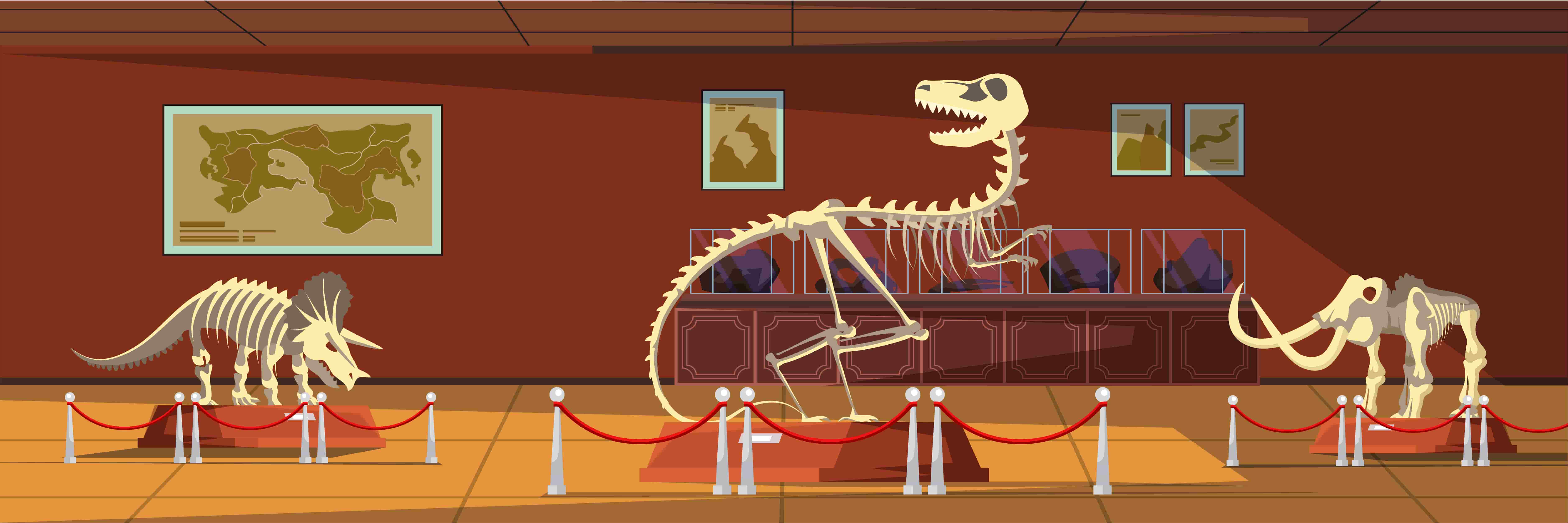 Cartoon-style museum with dinosaur skeletons on display, including ropes and framed maps.
